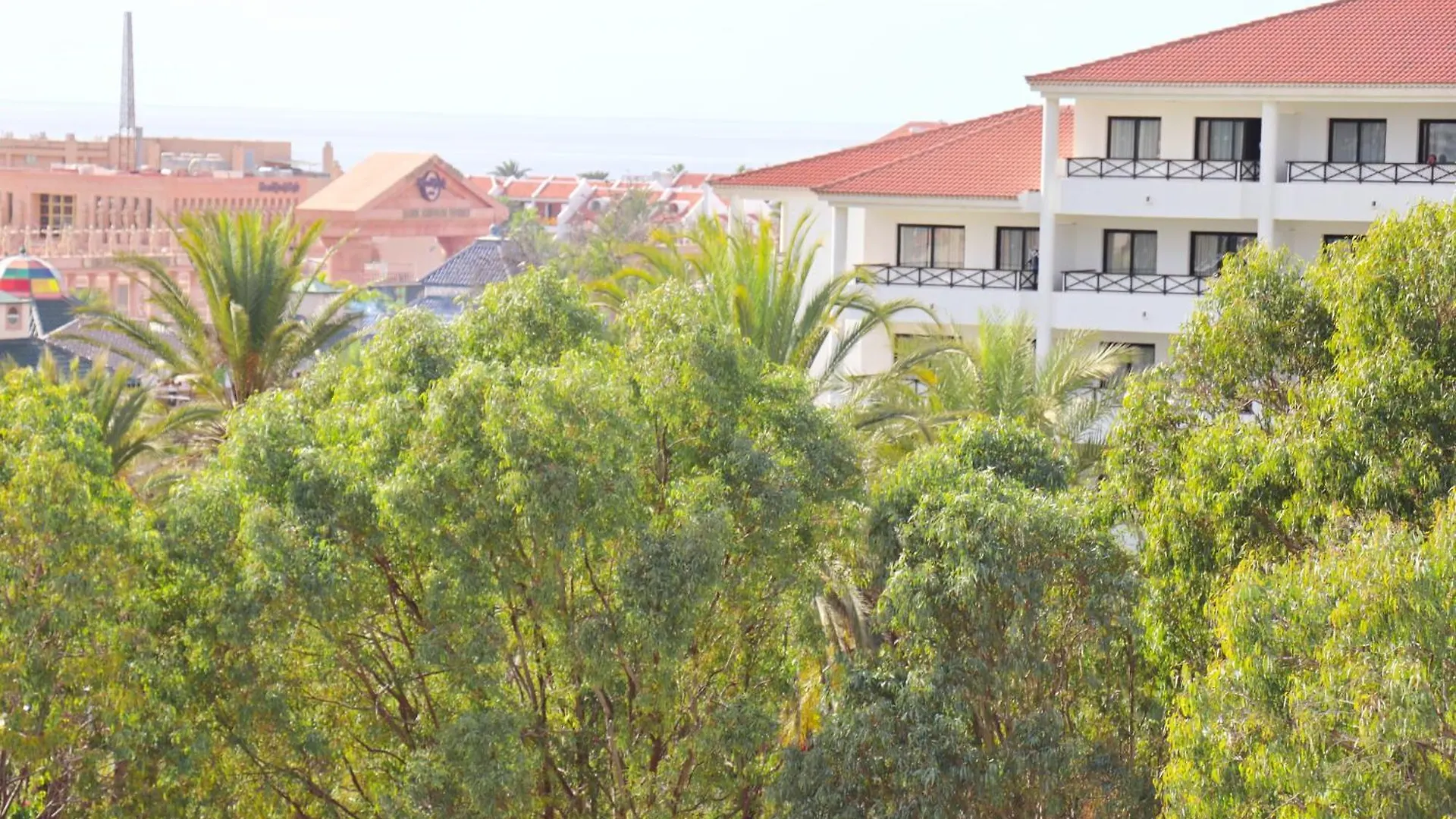 Apartment El Paso By Tenerife Rental & Sales Playa de las Americas